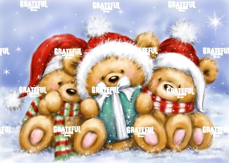 Christmas Three Bears