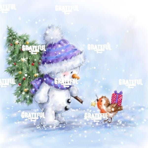 Snowman & Robin