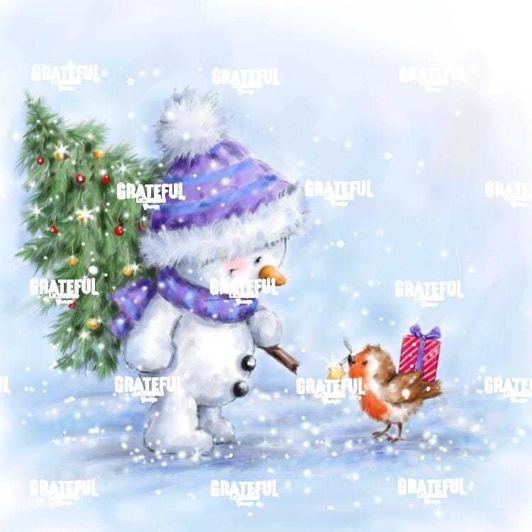 Snowman & Robin