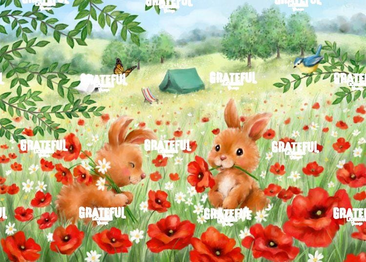 Rabbits and Summer Tent