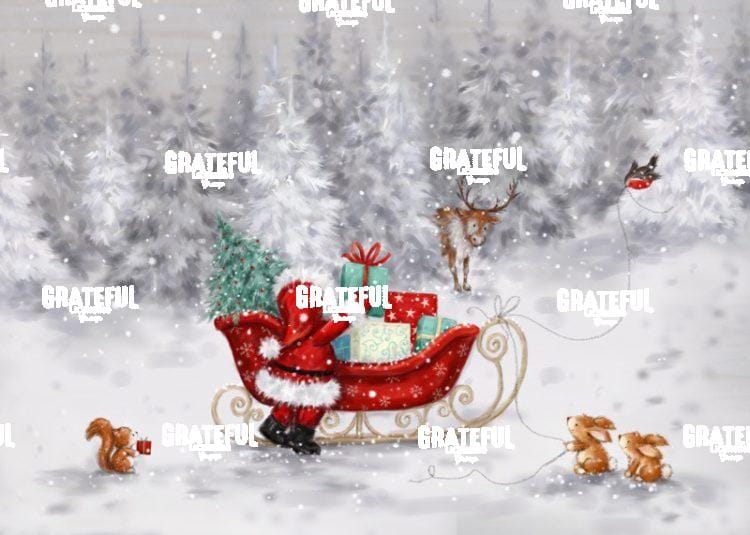 Santa with Sleigh
