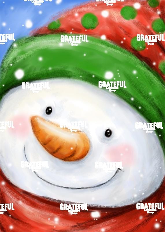 Snowman Portrait