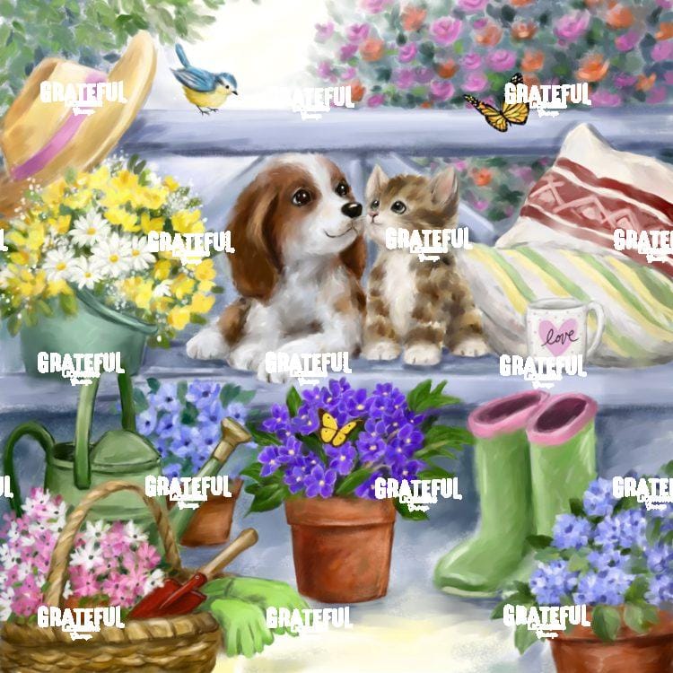 Garden Cat & Dog