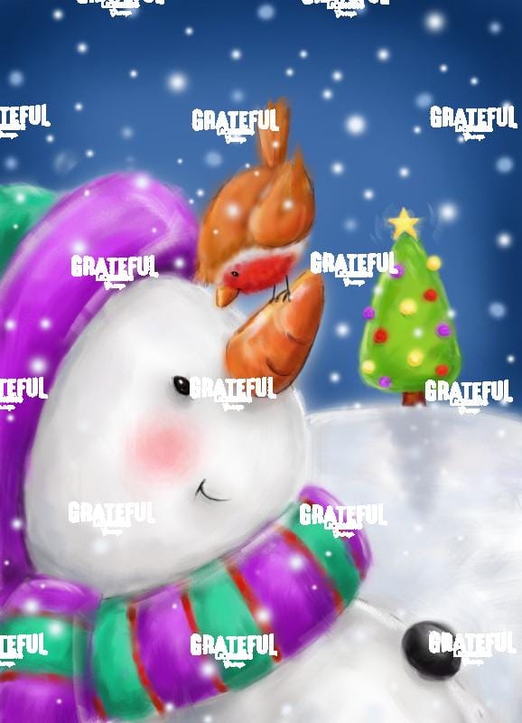Snowman & Robin