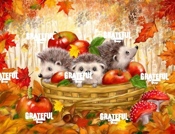 Autumn Hedgehogs