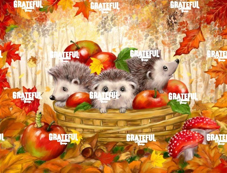 Autumn Hedgehogs