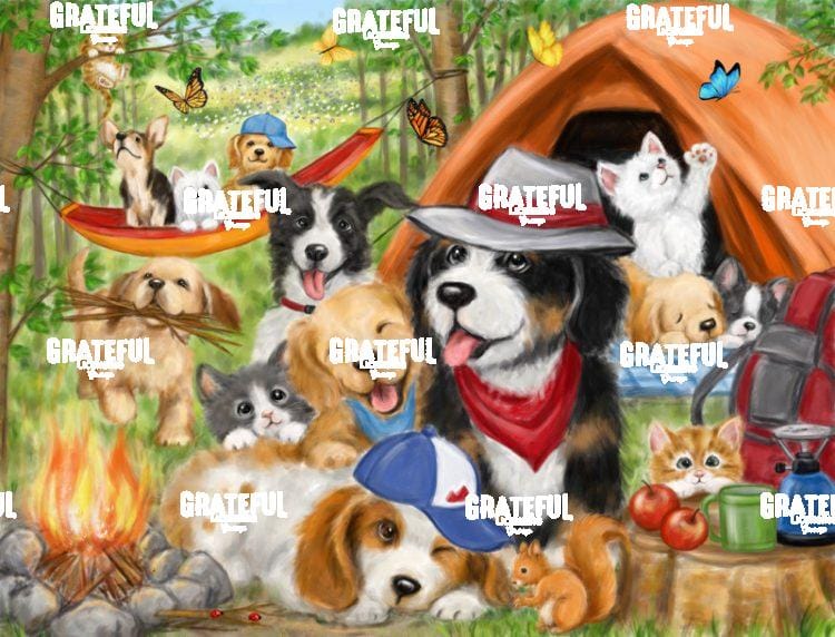 Camping Dogs & Cats