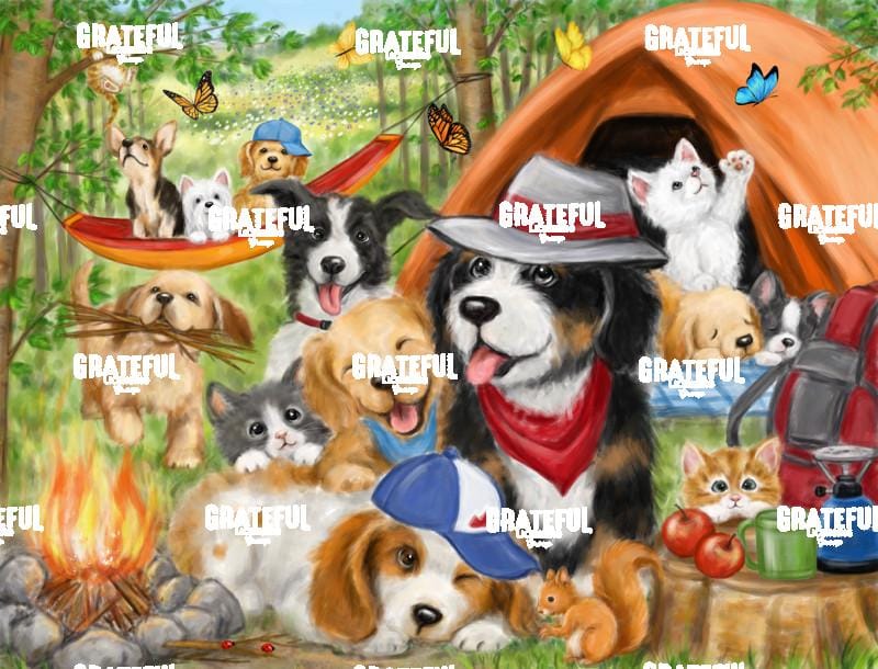 Camping Dogs & Cats