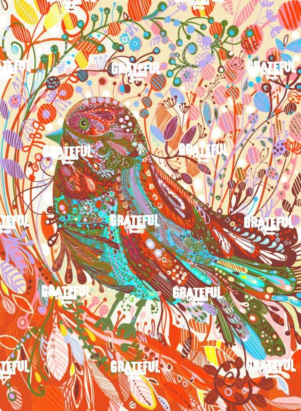 Bird in Red