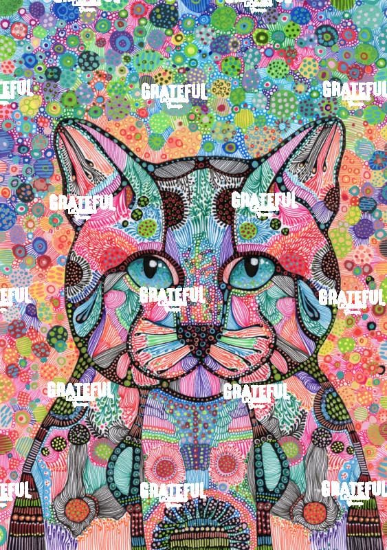Cat 2