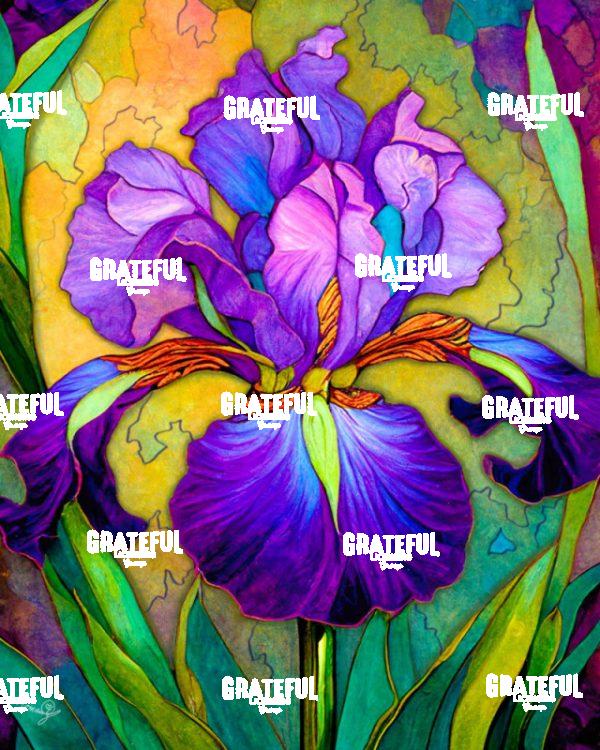 Nettie's Garden - Royal Iris