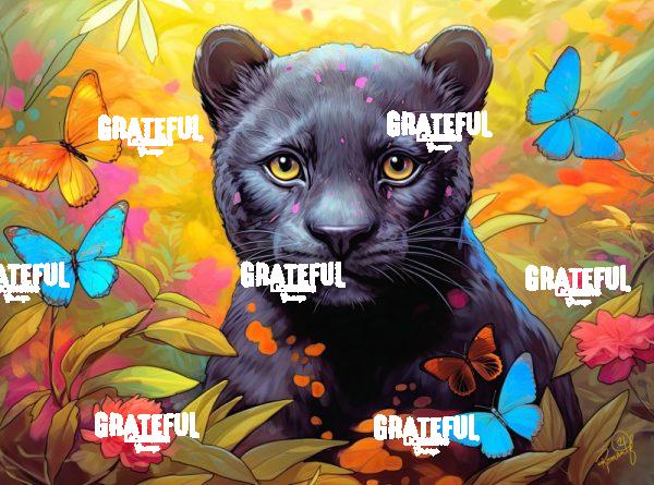 Paradise Pets - Pasha