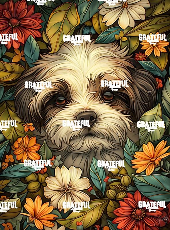 Bella's Babies - Winston