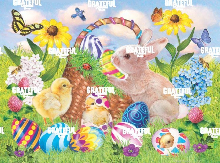 Chicks and Bunny