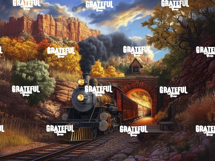 Western Express