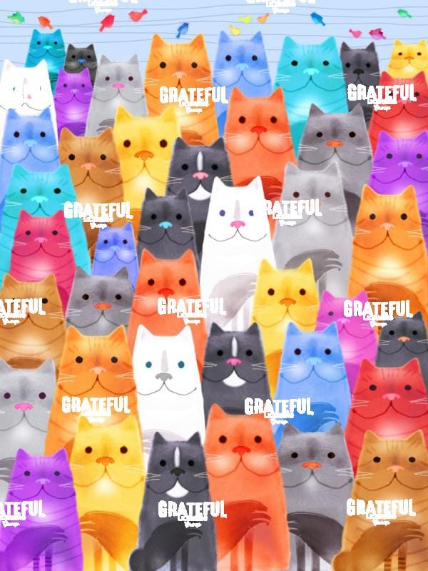 Multi Colorful Cats