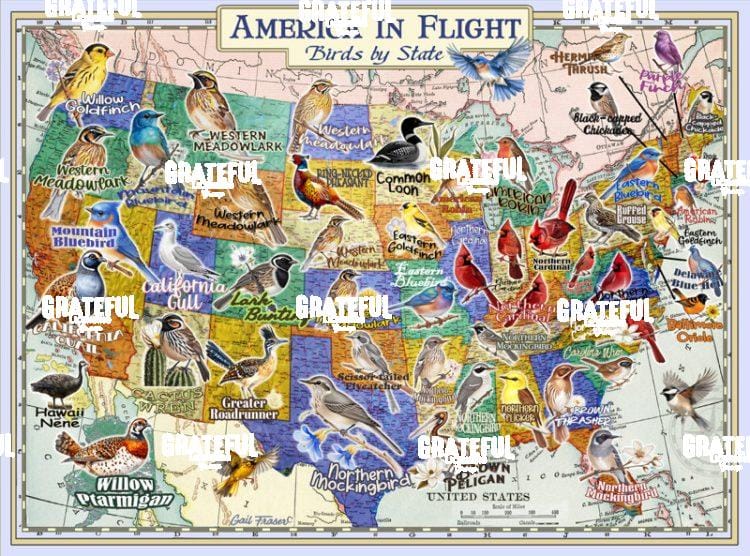 America in Flight.tif