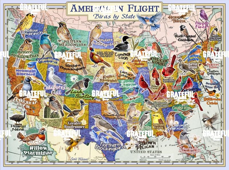 America in Flight.tif