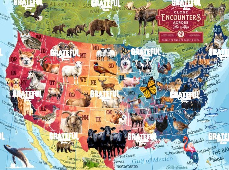 Close Encounters Across the Map