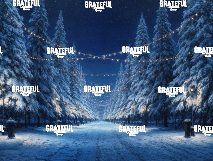 Winter Path with Lights at Night 2