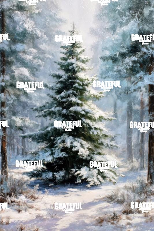 Single Snow Covered Pine Tree 1