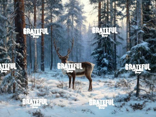 Reindeer in the Snowy Forest 2