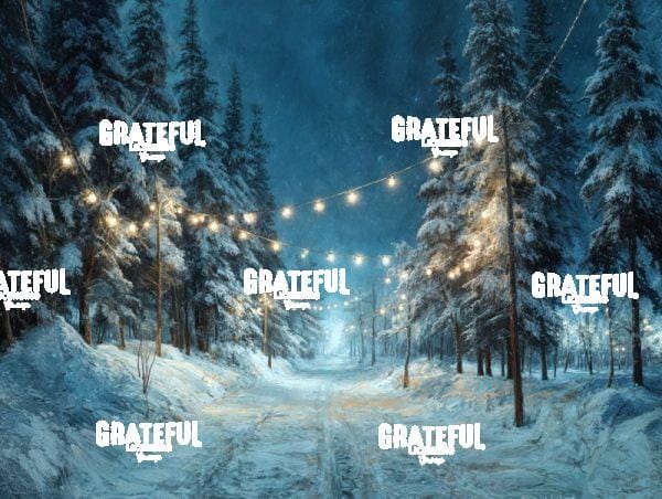 Winter Path with Lights at Night 1