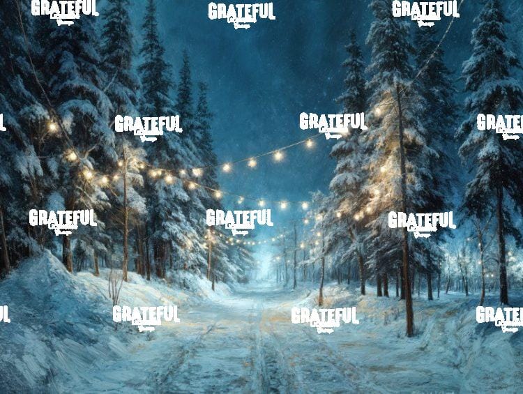 Winter Path with Lights at Night 1
