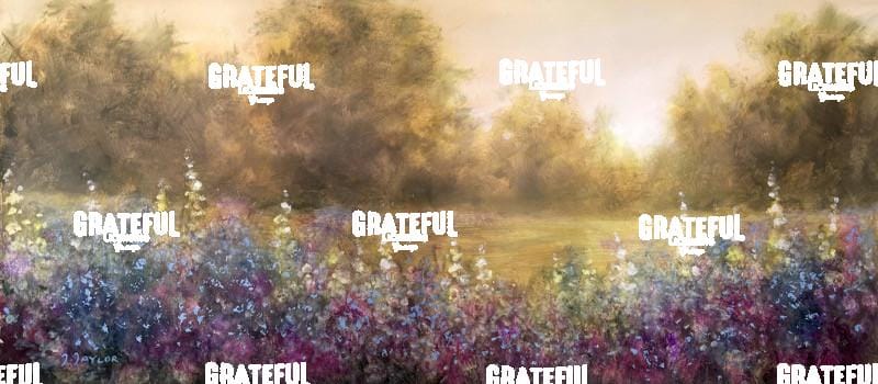 Spring In The Forest - 2025