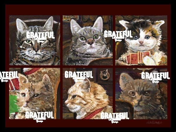 Cat Collage