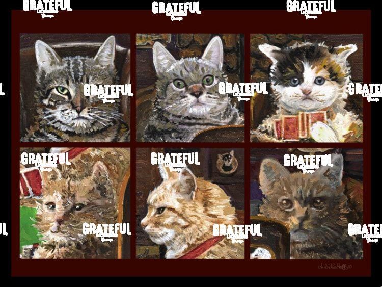Cat Collage