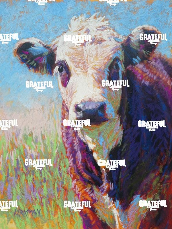 Baldy Bull Calf