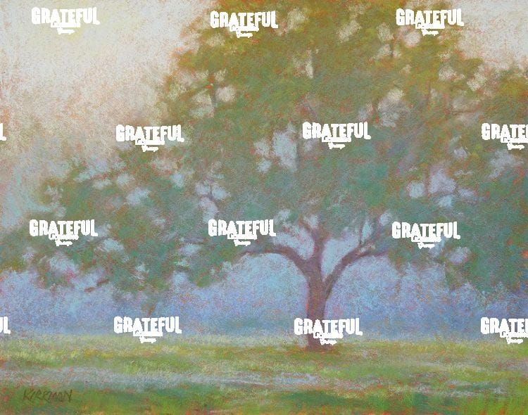 Foggy Old Oak