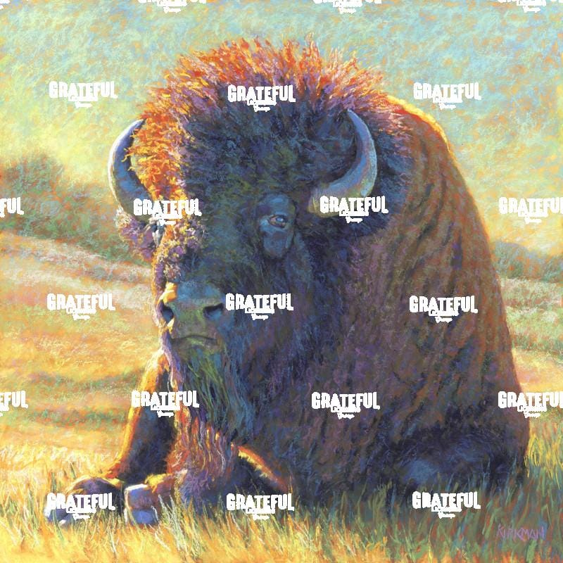 I Am Not Your Teddy Bear