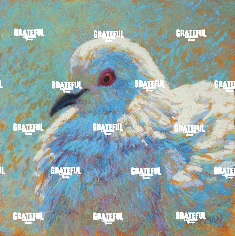 Peaceful Dove