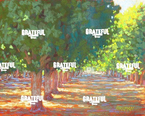 Shady Orchard