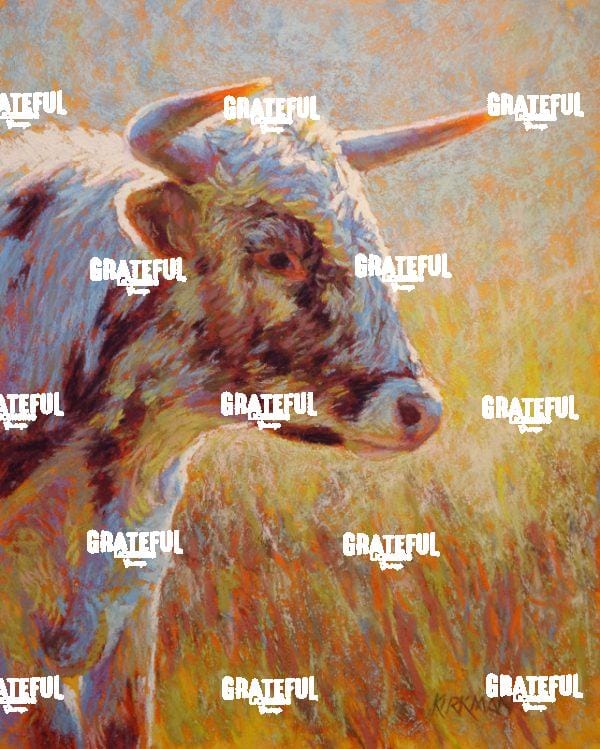 Young Longhorn