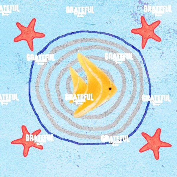 Accent Fish 3