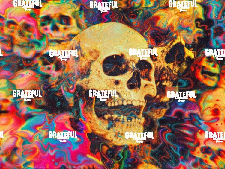 Psychedelic Skulls B
