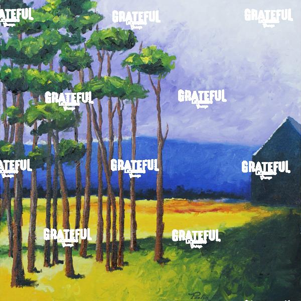 Bryson's Field