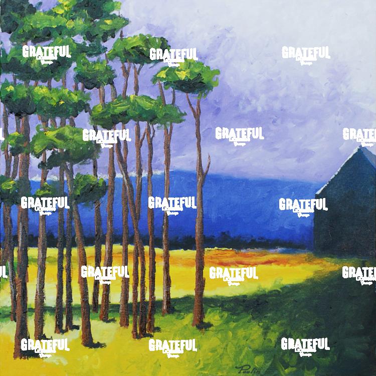 Bryson's Field