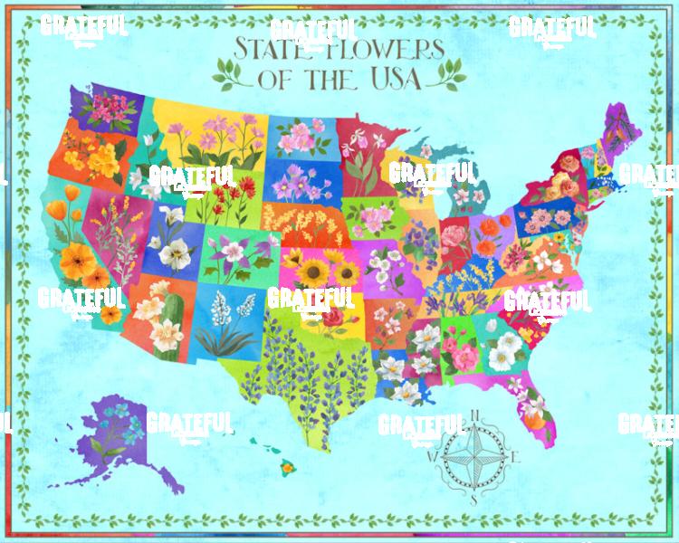 US Floral Map
