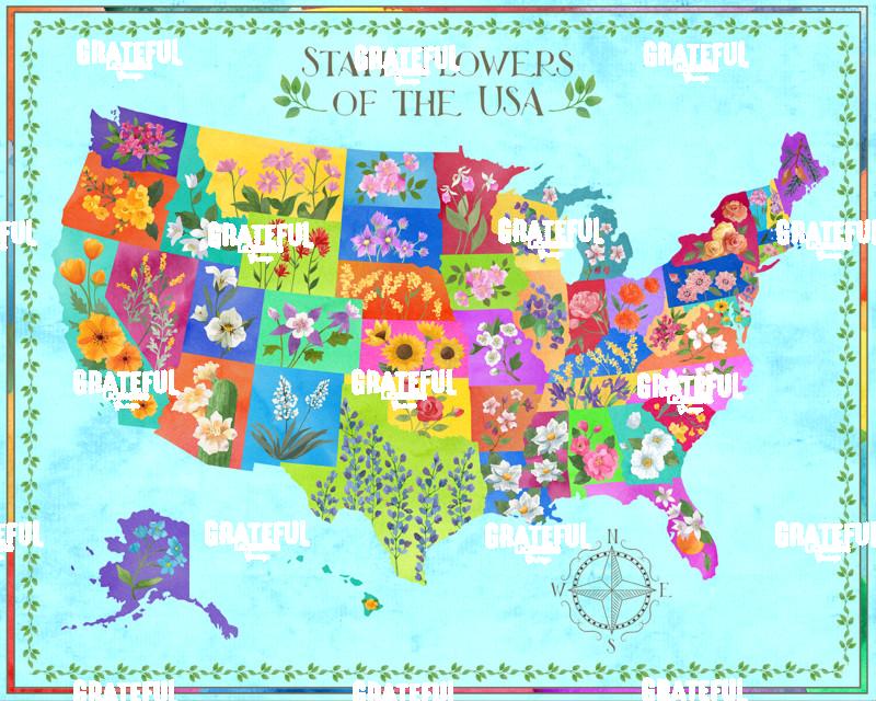 US Floral Map