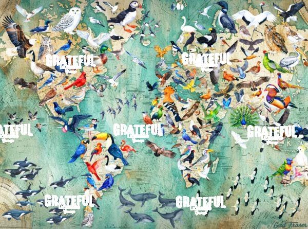 Birds Around the World