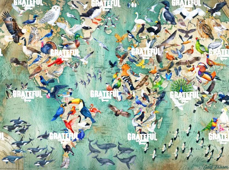 Birds Around the World