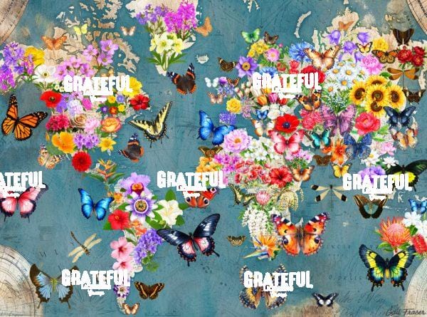 Flowers and Butterflies Around the World