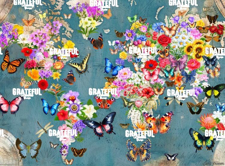 Flowers and Butterflies Around the World