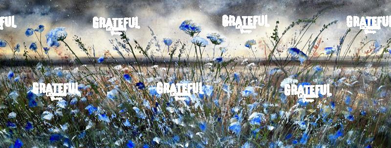 Midsummer Sapphire - 2025