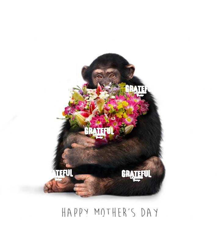 Mother's Day Monkey