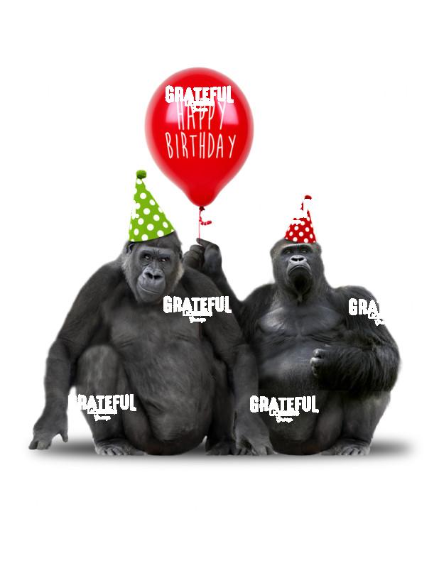 Birthday Gorillas